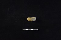 陶把藏品圖，第2張